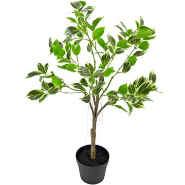 Hoyz Greenery - Kunstplant Ficus Henryi 60 cm groen/wit product