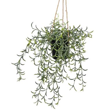 Hoyz Greenery - Kunst hangplant Senecio met pot 35 cm product