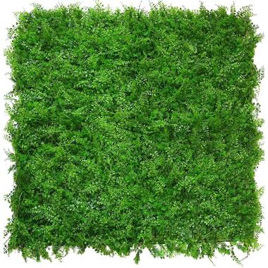 Hoyz Greenery - Haie artificielle Easyplants fougère/conifère 50x50 cm product