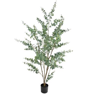 Hoyz Greenery - Kunstplant Eucalyptus 210 cm product