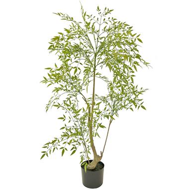 Hoyz Greenery - Kunstplant Ruscus 120 cm product