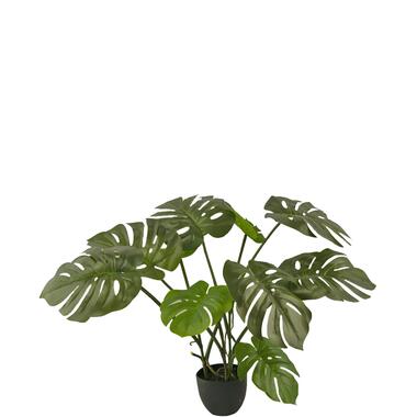 Hoyz Greenery - Kunst Monstera 50 cm product