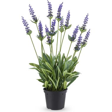 Hoyz Greenery - Kunstplant Lavendel 44 cm product