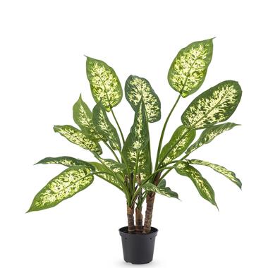 Hoyz Greenery - Plante artificielle Dieffenbachia 40 cm product