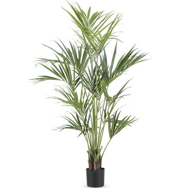 Hoyz Greenery - Kunstpalm Kentia 190 cm product