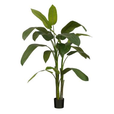 Mica Decorations Heliconia Kunstplant - H175 x Ø140 cm - Groen product