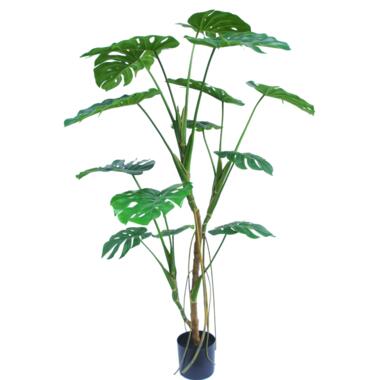 Hoyz Greenery - Kunstplant Monstera 150 cm product