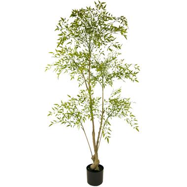 Hoyz Greenery - Kunstplant Ruscus 150 cm product