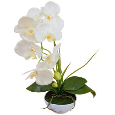 Hoyz Greenery - Orchidée artificielle 50 cm blanche en pot product