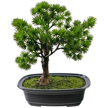 Hoyz Greenery - Plante artificielle Bonsaï Genévrier 20 cm product