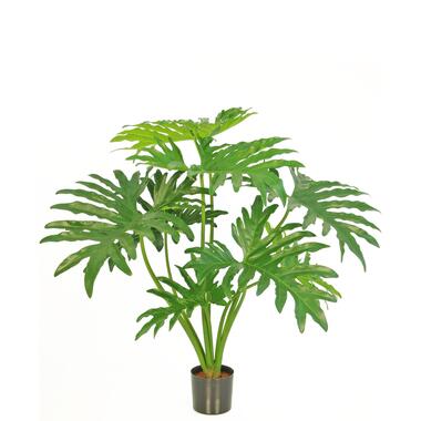 Hoyz Greenery - Kunstplant Philodendron 80 cm product