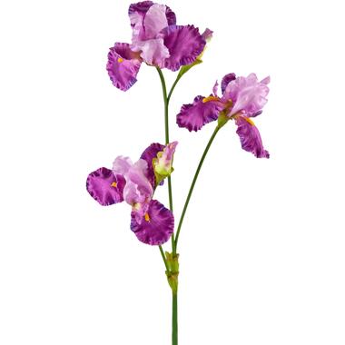 Hoyz Greenery - Kunstbloem Iris 102 cm paars product