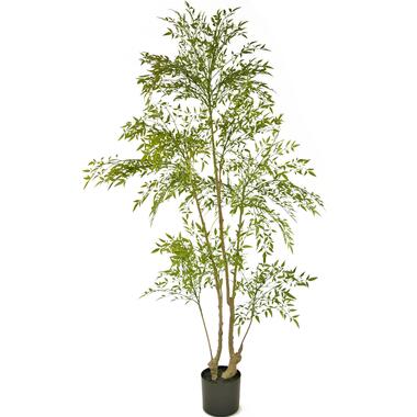 Hoyz Greenery - Kunstplant Ruscus 180 cm product