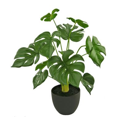 Hoyz Greenery - Monstera artificiel 51 cm en pot décoratif noir product