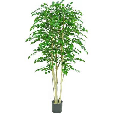 Hoyz Greenery - Plante artificielle Bouleau rugueux 210 cm product