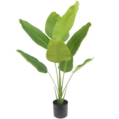 Hoyz Greenery - Kunstplant Strelitzia 120 cm product