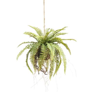 Hoyz Greenery - Plante artificielle suspendue Fougère sur boule 76 cm product