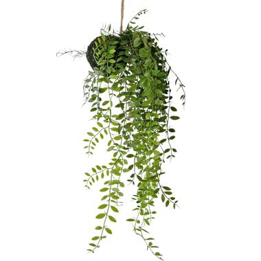 Hoyz Greenery - Kunst hangplant Pumila bal 30 cm product