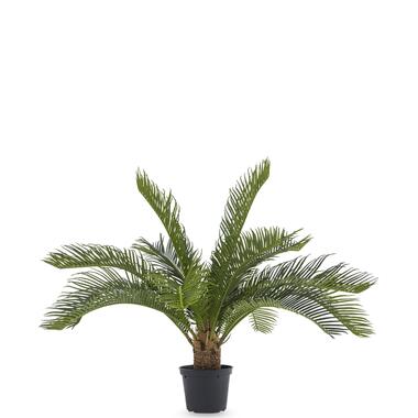 Hoyz Greenery - Kunstpalm Baby Cycus 45 cm product