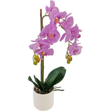 Hoyz Greenery - Orchidée artificielle 52 cm rose en pot blanc product