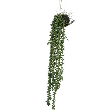 Hoyz Greenery - Plante artificielle suspendue Senecio boule 58 cm product