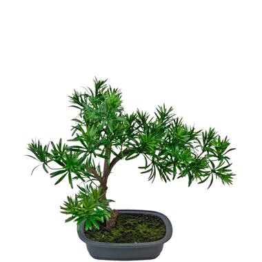 Hoyz Greenery - Kunstplant Bonsai Podocarpus 40 cm product