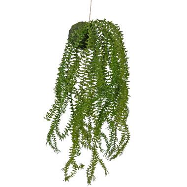 Hoyz Greenery - Kunst hangplant Phlegmariurus bal 50 cm product