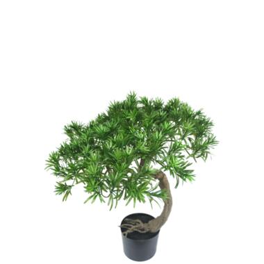 Hoyz Greenery - Bonsaï Artificiel Pin 55 cm product