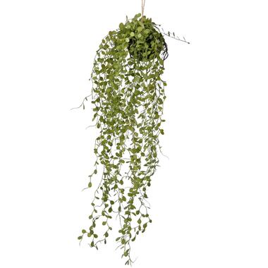 Hoyz Greenery - Kunst hangplant Vetplant bal 58 cm product