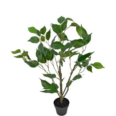 Hoyz Greenery - Kunstplant Ficus 60 cm product