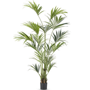 Hoyz Greenery - Palmier Kentia artificiel 220 cm product