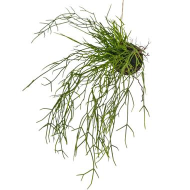 Hoyz Greenery - Kunst hangplant Gras op bal 48 cm product