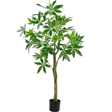 Hoyz Greenery - Plante artificielle Pachira 150 cm product