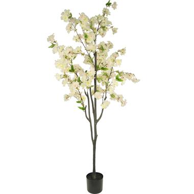 Hoyz Greenery - Fleur de Cerisier Artificielle 180 cm blanc product