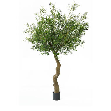 Hoyz Greenery - Kunst olijfboom 270 cm met olijven product