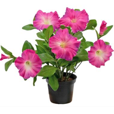 Hoyz Greenery - Kunstbloem Petunia plant 25 cm donker roze product