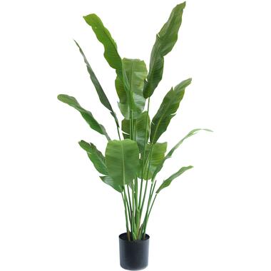 Hoyz Greenery - Plante artificielle Strelitzia Nicolai 165 cm product