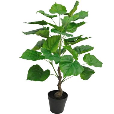 Hoyz Greenery - Kunstplant Ficus 60 cm product