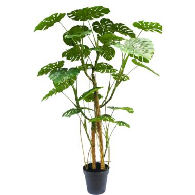 Hoyz Greenery - Kunstplant Monstera 240 cm product