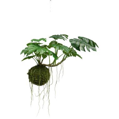 Hoyz Greenery - Kunst hangplant Monstera Deluxe 60 cm product