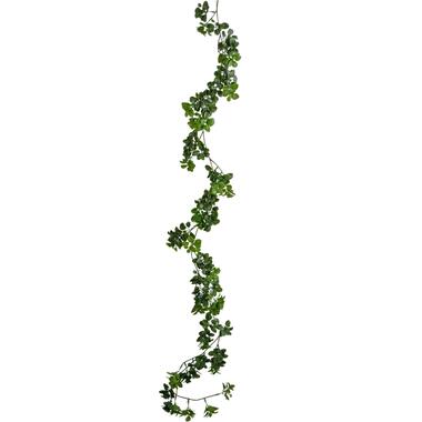 Hoyz Greenery - Plante rampante artificielle Gardenia 157 cm product