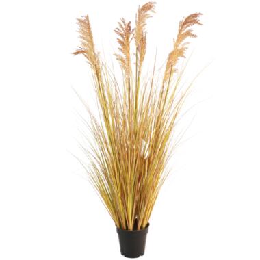 Hoyz Greenery - Plante de Gazon Artificiel Sorgho 130 cm product