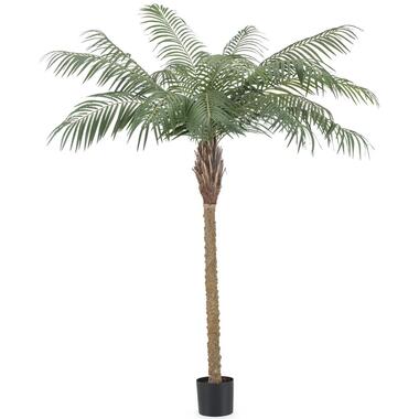 Hoyz Greenery - Plante artificielle Phoenix Palm De Luxe 180 cm product