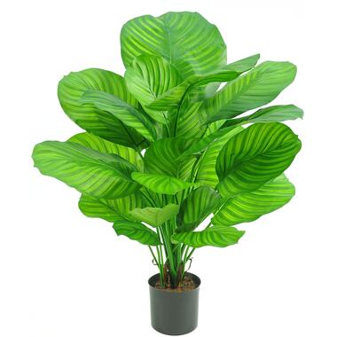 Hoyz Greenery - Kunstplant Calathea 72 cm product