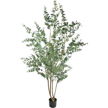 Hoyz Greenery - Kunstplant Eucalyptus 240 cm product