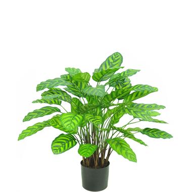 Hoyz Greenery - Plante artificielle Calathea Makoyana Deluxe 75 cm product