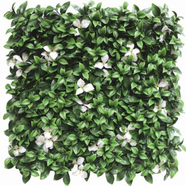 Hoyz Greenery - Haie artificielle Gardénia à fleur blanche 50x50 cm UV product