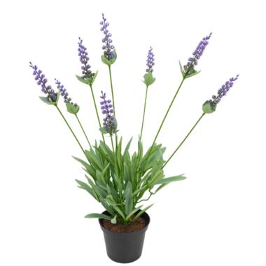 Hoyz Greenery - Plante artificielle Lavande 43 cm product