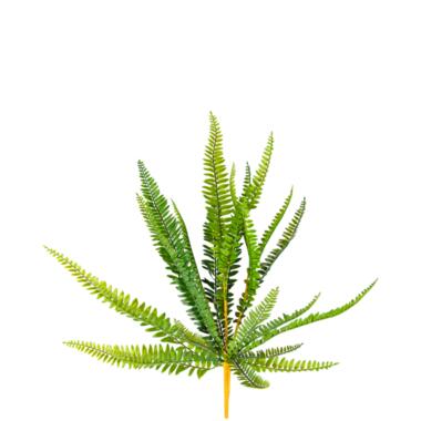 Hoyz Greenery - Kunstplant Varen 55 cm product