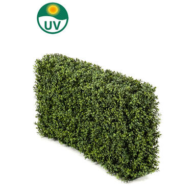 Hoyz Greenery - Haie de Buis Artificiel 100x20x50 cm UV product